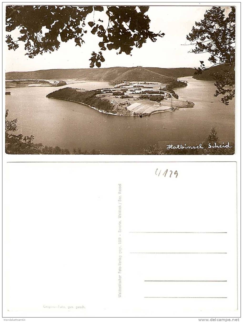 AK Halbinsel Scheid Waldeckischer Foto-Verlag - Waldeck