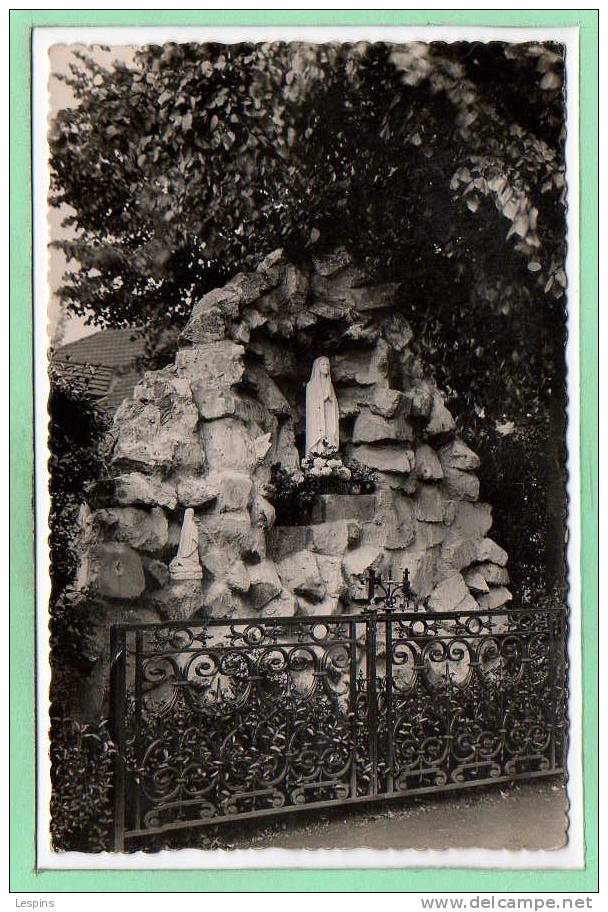 59 - WATTRELOS --   La Grotte Ste Thérese - 1951 - Wattrelos