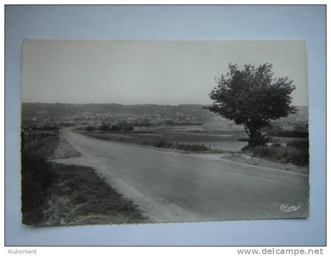 Chanleloup Les Vignes , Vue Générale , C P Photo 14X9 - Chanteloup Les Vignes