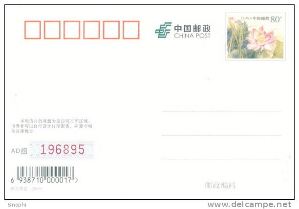 K - BE - 6   @     Tsingtao   Beer  ,     ( Postal Stationery , Articles Postaux ) - Bier