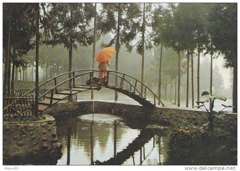 Taiwan - The Sequestered View Of Sitou, A-li Mountain, Chiayi City - Taiwan