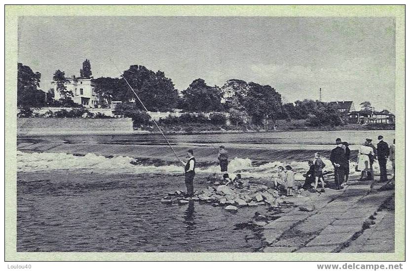 ALLEMAGNE - MAGDEBURG - CRACAUER WASSERFALL - Magdeburg