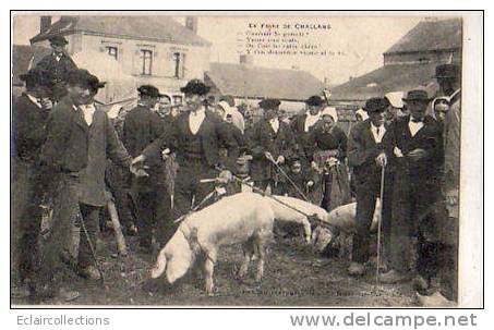 Foire Aux Cochons - Challans