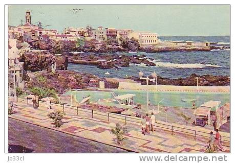 Tenerife - Puerto De La Cruz - Vista Parcial (vue Partielle) (1962) - Fuerteventura