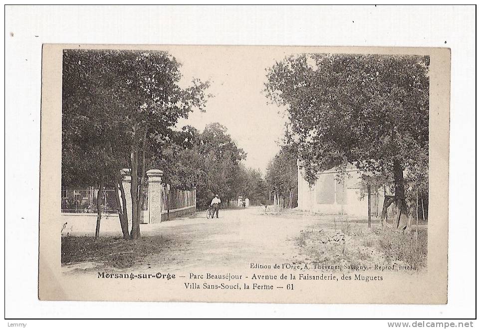 91 - MORSANG-SUR-ORGE - PARC BEAUSEJOUR - AVENUE DE LA FAISANDERIE, DES MUGUETS - VILLA SANS-SOUCI -, LA FERME - CPA - Morsang Sur Orge