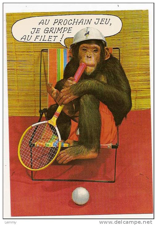 SPORT : TENNIS -  SINGE AU FILET... AU PROCHAIN JEU, JE GRIMPE AU FILET ! - Tennis