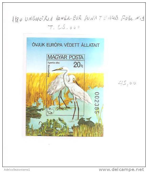 42258)foglio Con Un Valore Serie 1980 Ungheria Congresso Europeo Sulla Natura E Ambiente - Poststempel (Marcophilie)