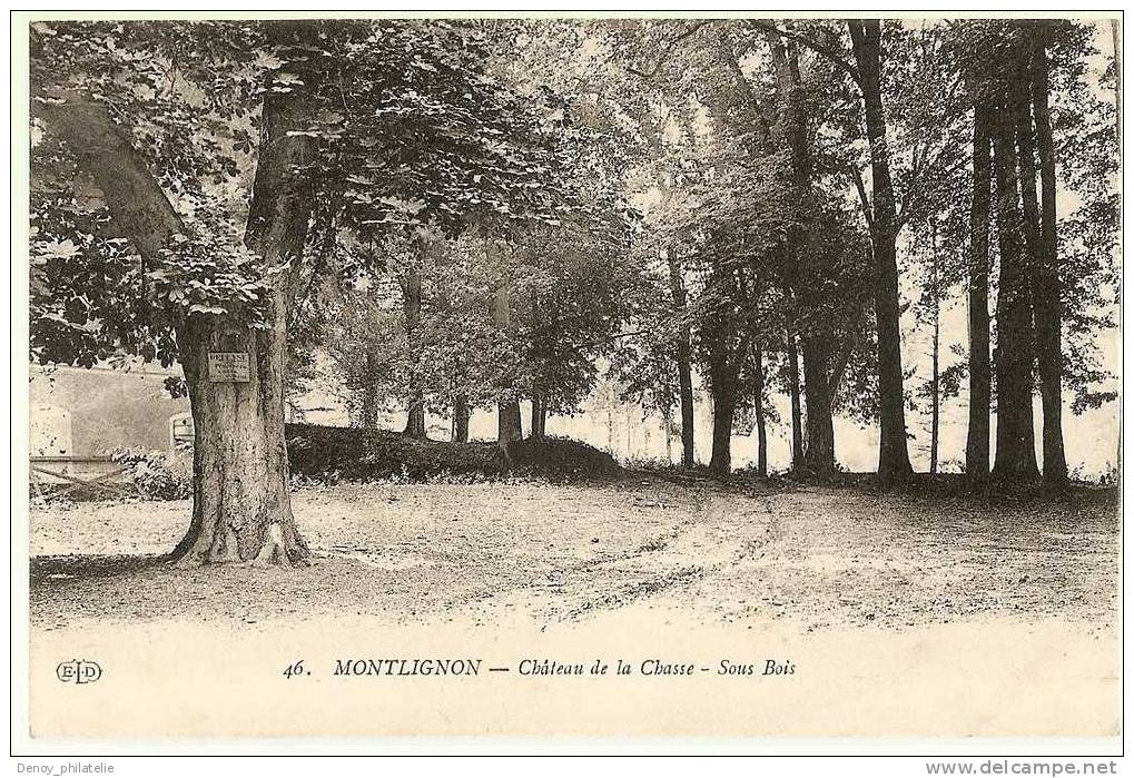 95/ MONTLIGNON / CHATEAU DE LA CHASSE SOUS BOIS - Montlignon