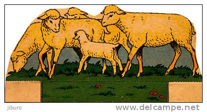 Image Découpi Cartonné Agriculture Scène De Ferme / Animaux / Moutons Mouton Sheep   / BIM-1/8 - Animals