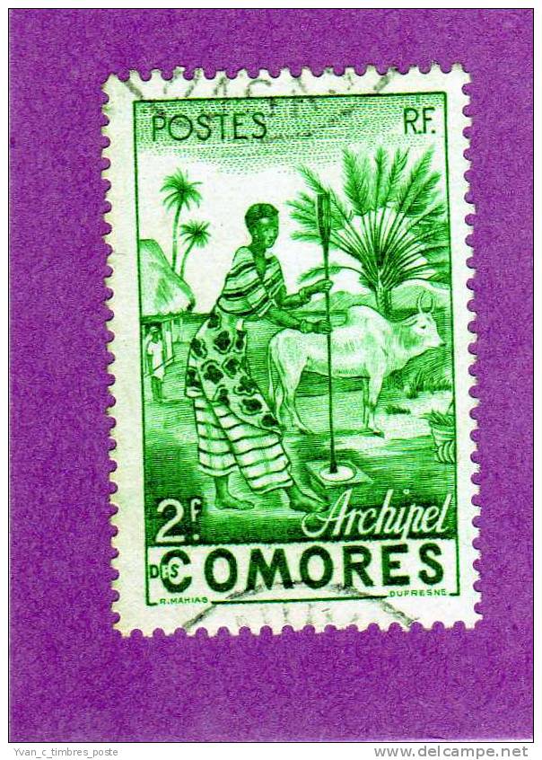 COLONIES FRANCAISES COMORES TIMBRE N° 4 OBLITERE FEMME INDIGENE - Other & Unclassified