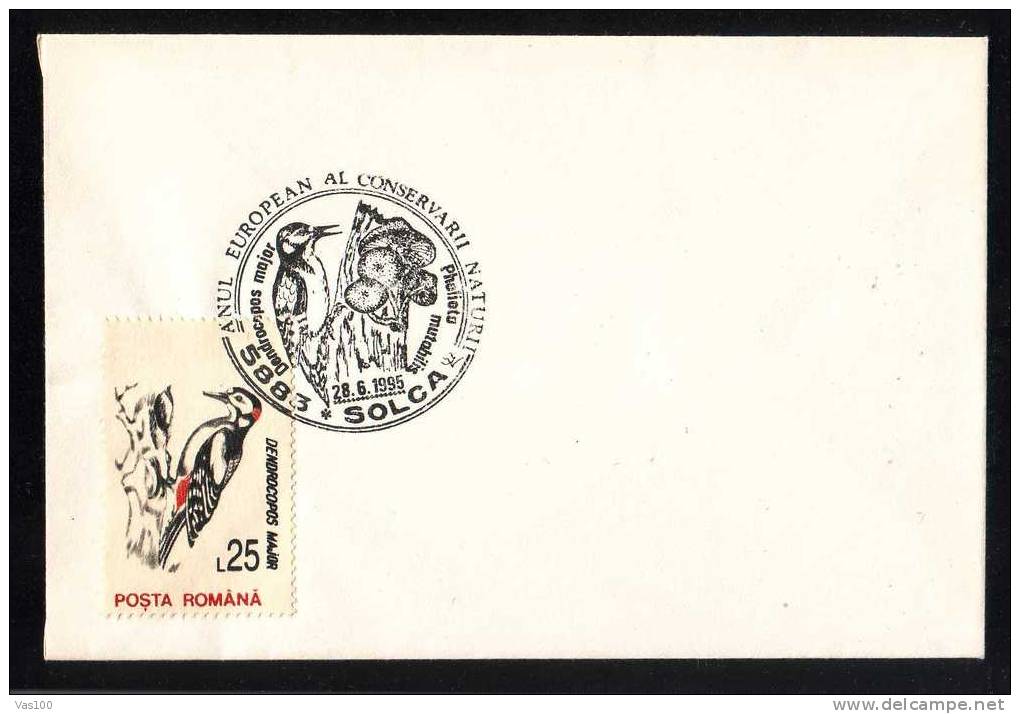 Pygargue à Tête Blanche:obliteration Concordante Bird Grimpeur 1995,env. Blanche – Special Cancel On Plain Cover,Romania - Spechten En Klimvogels