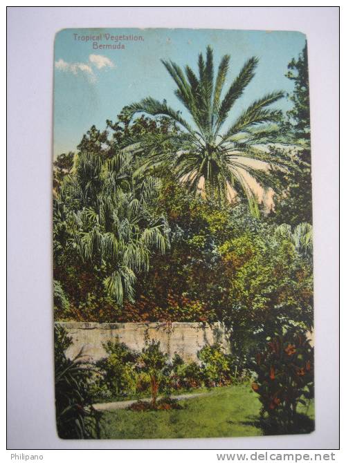 Bermuda      Tropical Vegetation 1912 Cancel ? - Bermuda