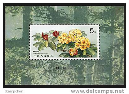 China 1991 T162m Azalea Stamp S/s  Flower Forest - Ongebruikt