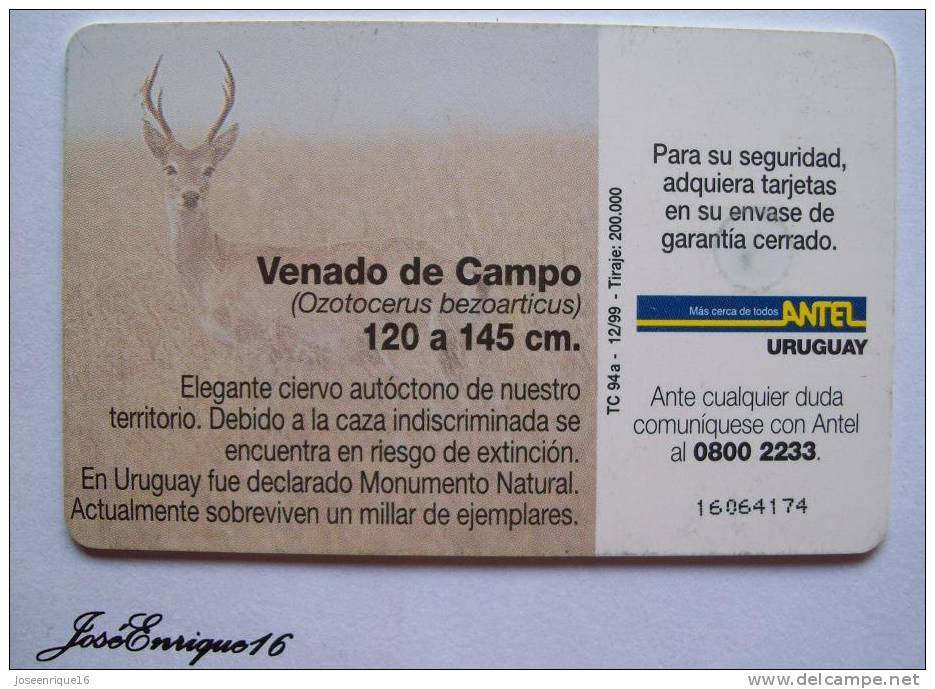 TC 94a VENADO DE CAMPO, DEER DOMAINE, DEER FIELD. ANTEL URUGUAY - Uruguay