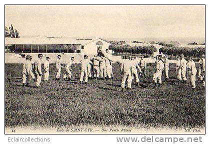 Une Partie D'Ours - St. Cyr L'Ecole