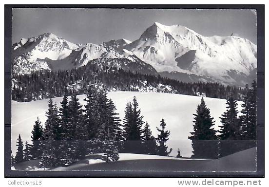 SUISSE - Skigelände Bei Zweisimmen Am Hundsrück, Albristhorn - Zweisimmen