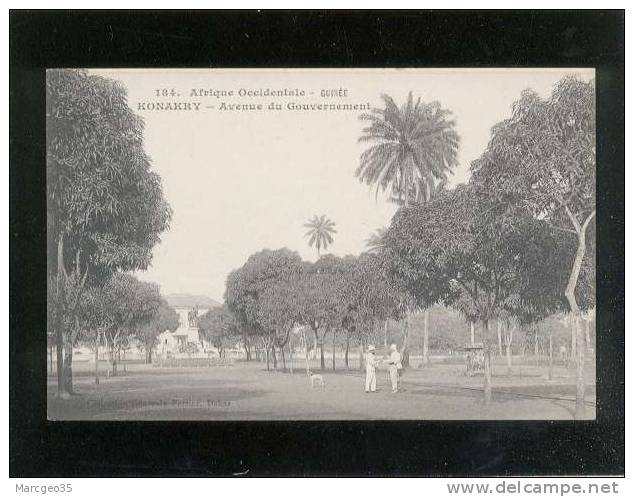 Guinée Conakry Avenue Du Gouvernement édit.fortier N° 184 - Guinea