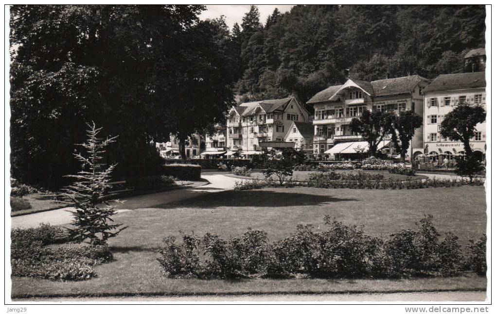Duitsland/Deutschland, Herrenalb, Schwarzwald, Im Kurgarten, Ca. 1960 - Calw