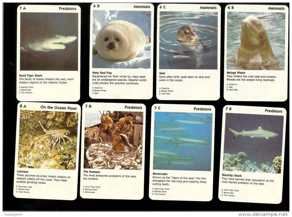 Jeu De 32 Cartes : Mysteries Of The Deep Animal Rummy - Autres & Non Classés