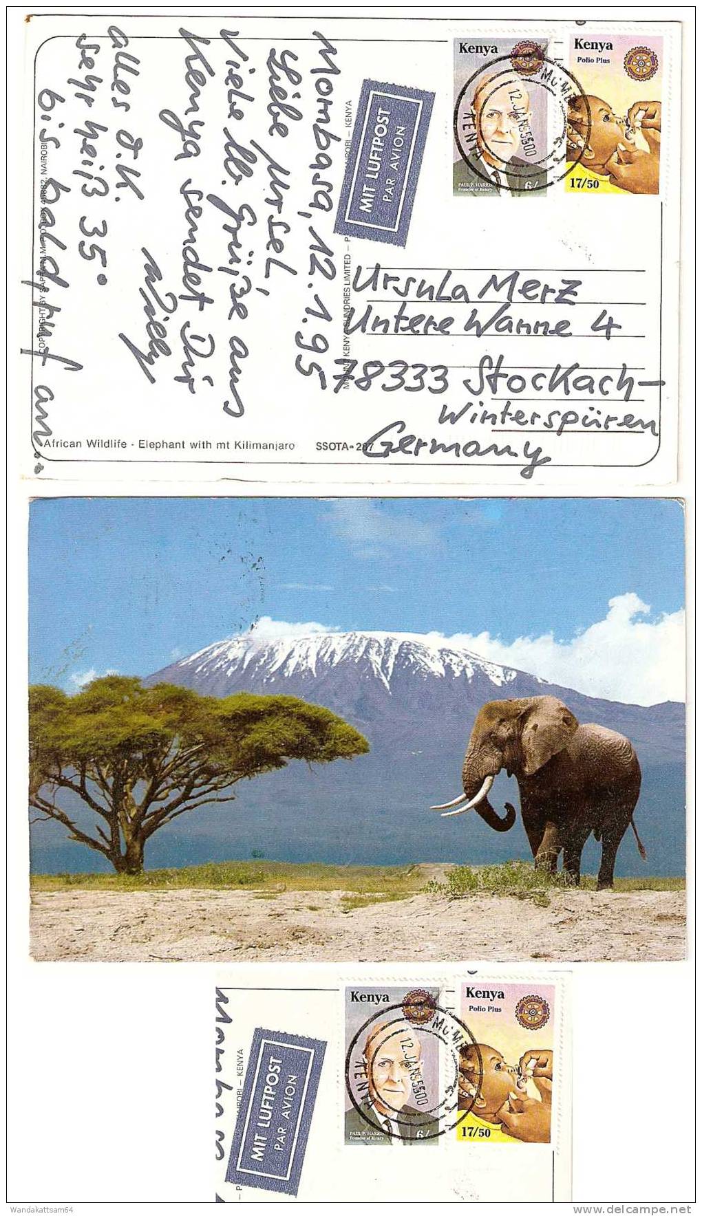 AK 287 African Wildlife - Elephant With Mt Kilimanjaro12. JAN 95 600 MOMBASA KENYA MIT LUFTPOST PAR AVION Aufkleber Nach - Kenya