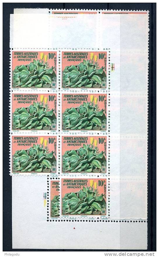 1958  TERRES AUSTRALES ET ANTAR   11**  X 10 Ex  Coté 14,70 = 147€ Chou De Kerguelen - Gemüse