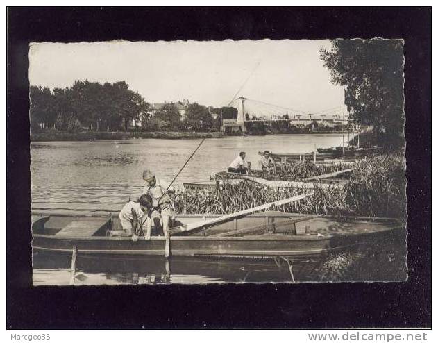 Précy Sur Oise Un Coin De Pêche édit.delboy N° 66 Pêcheurs - Précy-sur-Oise