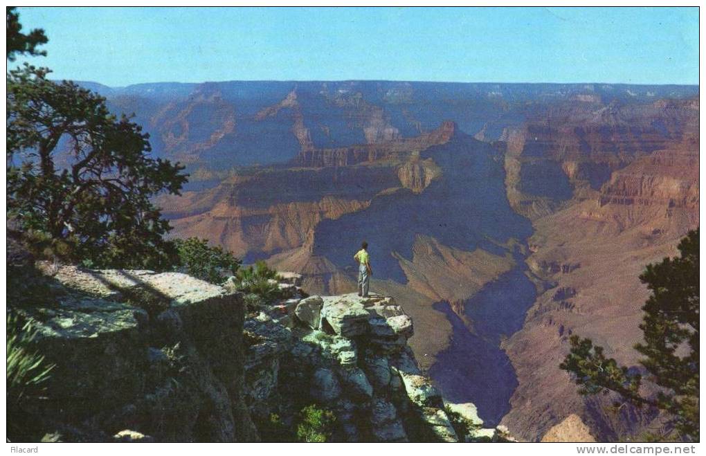 8039     Stati  Uniti  Grand  Canyon  National  Park  Arizona  AT  Pima Point  VG  1965 - Grand Canyon