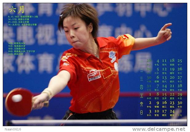 World Famous Table Tennis Pingpong Player Zhang Yining  (A07-013) - Tischtennis