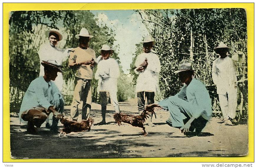 Philippines . Old Postcard .Cock Fight. Combat Des Coqs. Sujet Rare - Philippines