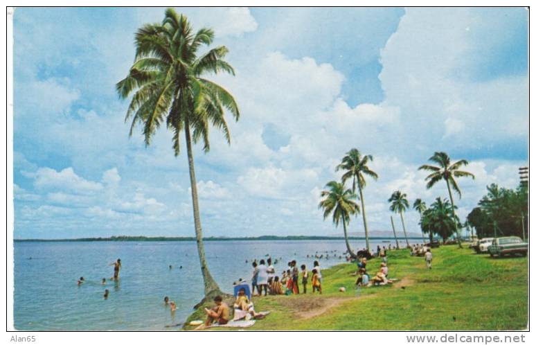 Johore Bahru Seaside Resort Beach, Swimming, On C1960s Vintage Postcard, Auto - Malaysia