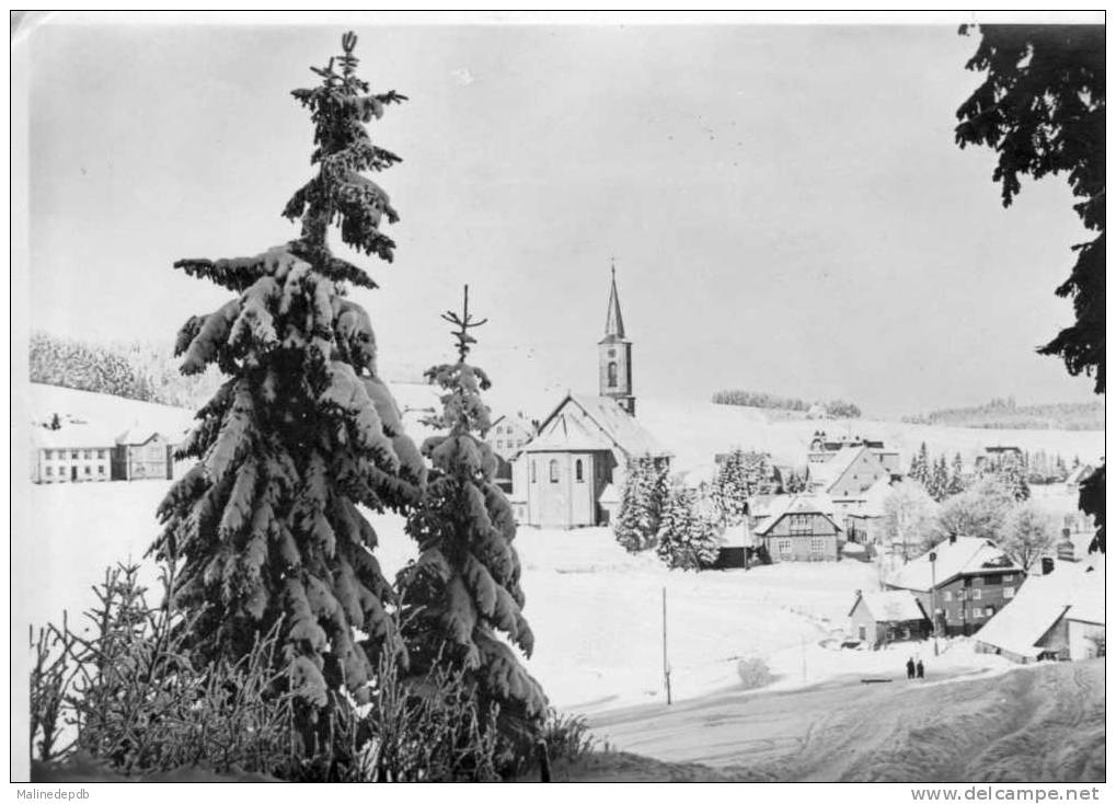 CPA - SCHONWALDEN HIVER DANS LA FORET NOIRE - Hochschwarzwald