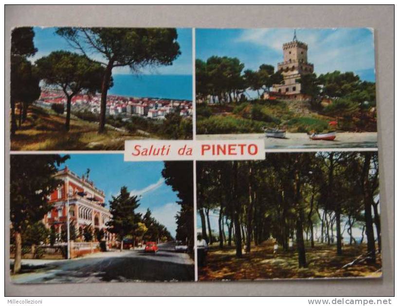 Te1017)  Saluti Da Pineto - Teramo