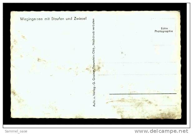 Wagingersee  Mit Staufen Und Zwiesel  -  Ansichtskarte Ca.1963 - Waging