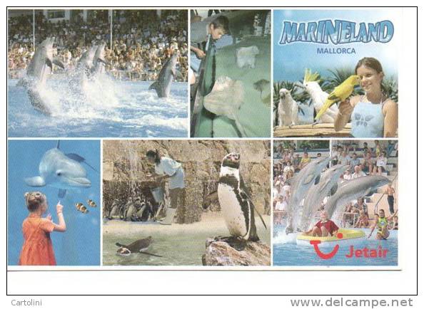 Dolfijn Dauphin Dolphin  Delphine  Publiciteit Publicité  Reclame Marineland Mallorca - Dauphins