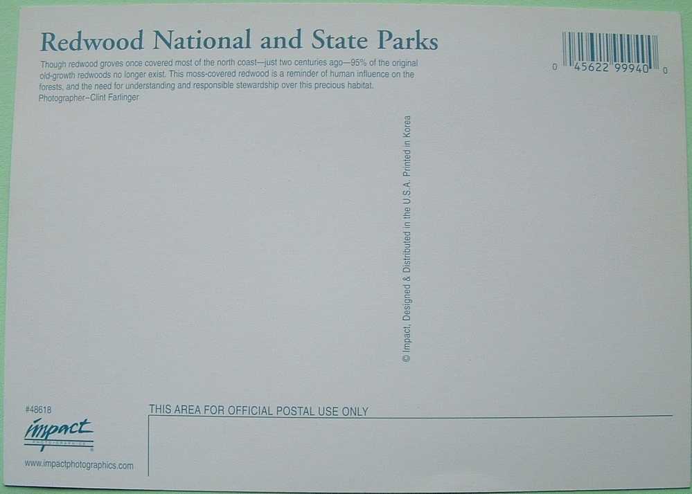 USA Postcard Unused - Coast Redwoods Forest - Covers & Documents