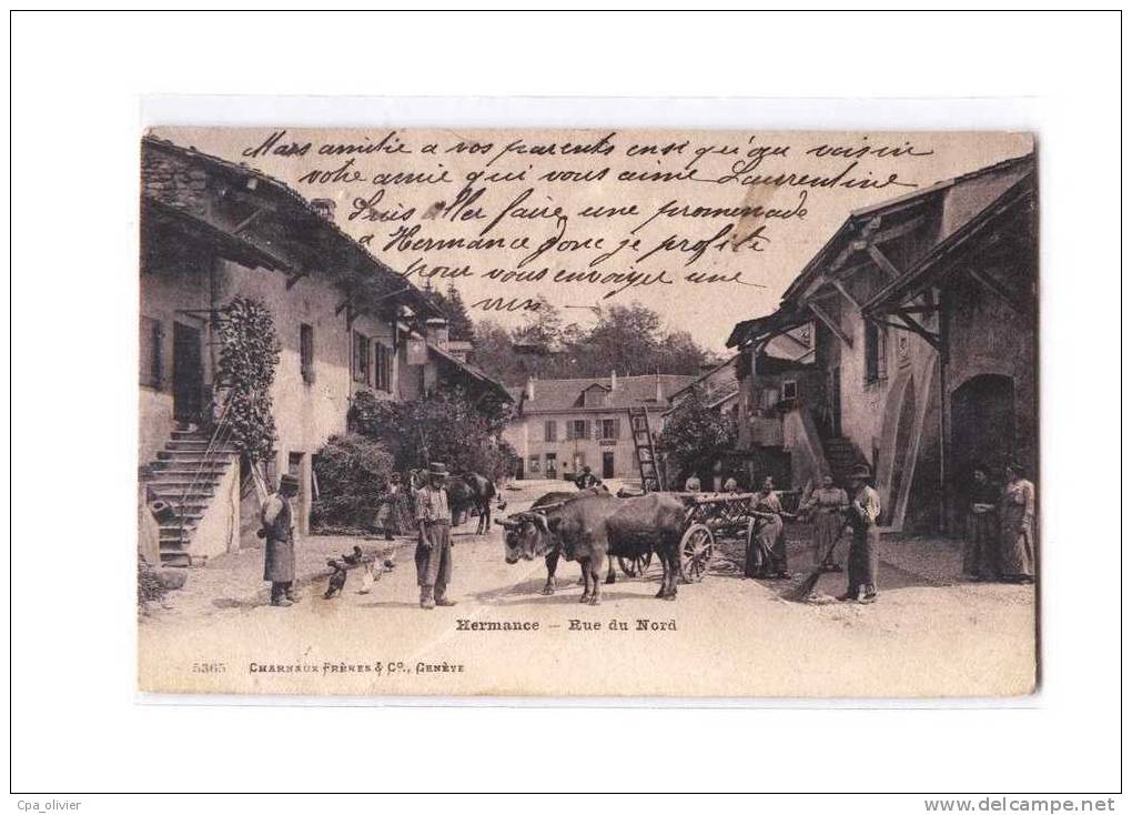 SUISSE Hermance, Rue Du Nord, Animée, Attelage De Boeufs, Ed Charnaux 5365, 1906 *** ETAT *** - Hermance