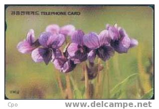 # KOREA O9401101 Manchurian Violet 2000 Autelca 01.94 -fleurs,flowers-   Tres Bon Etat - Corée Du Sud