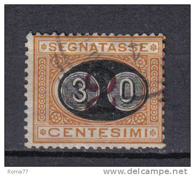 SS3118 - REGNO 1890, Segnatasse : Mascherine Il N. 19 . - Postage Due