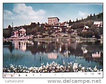 APPENNINO REGGIANO  REGGIO E  LAGO CERRETO  VEDUTA  VB1964   CS15559 - Reggio Nell'Emilia