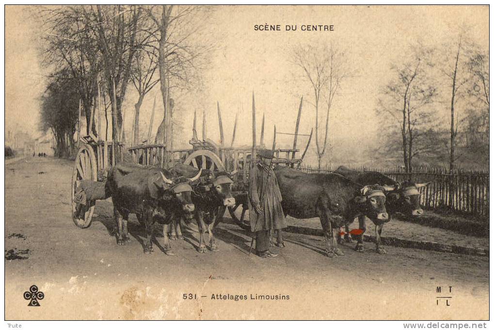 ATTELAGES LIMOUSINS PRECUREUR - Limousin