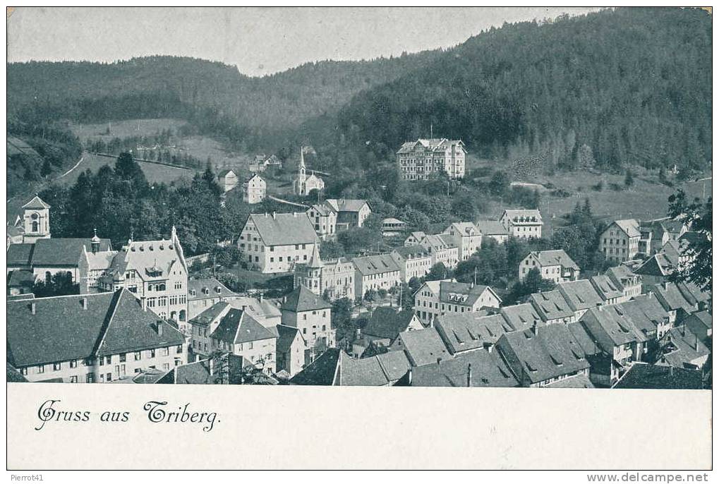 Gruss Aus TRIBERG - Triberg