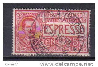 3RG1065 - REGNO 1903, Espressi : 25 Cent N. 1  Usato - Poste Exprèsse