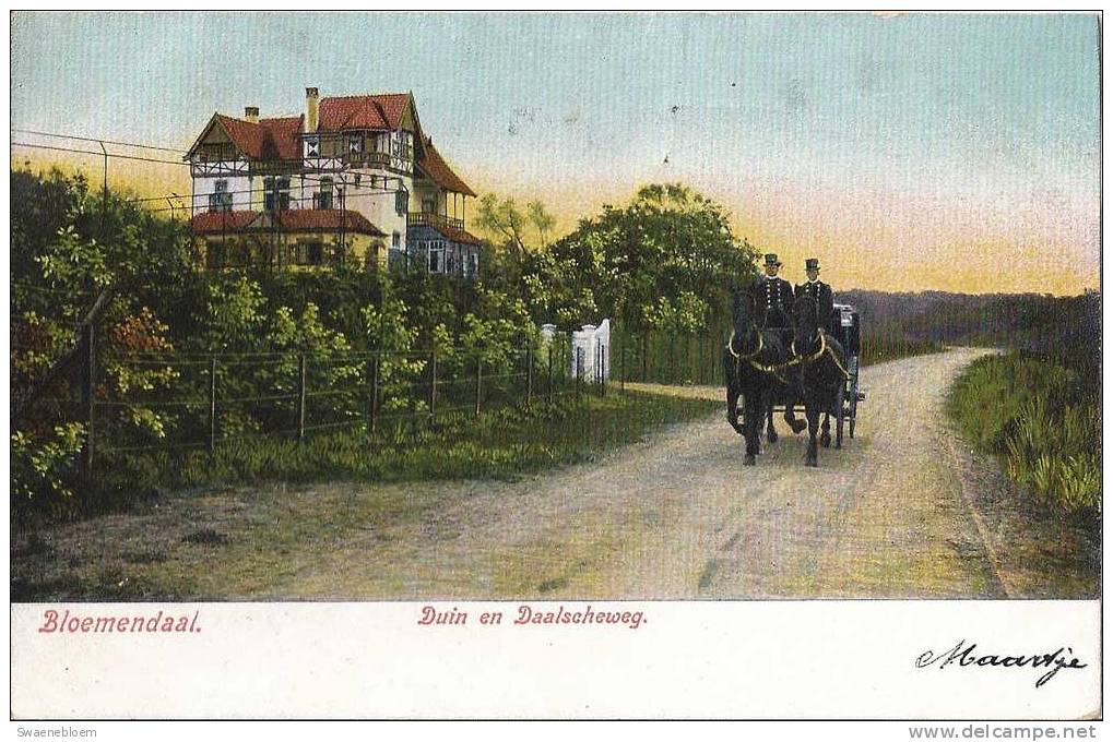 NL.- Bloemendaal - Duin En Daalscheweg - Paard En Wagen, Tweespan. - Bloemendaal