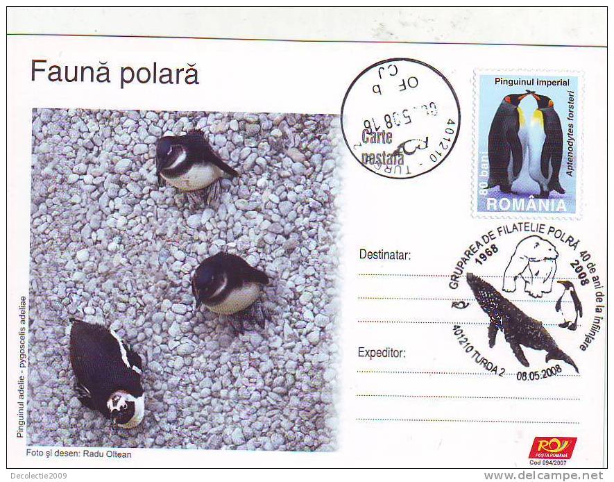 M768 Postal Card Romania Polar Fauna Pingouins Penguins Perfect Shape - Pinguini