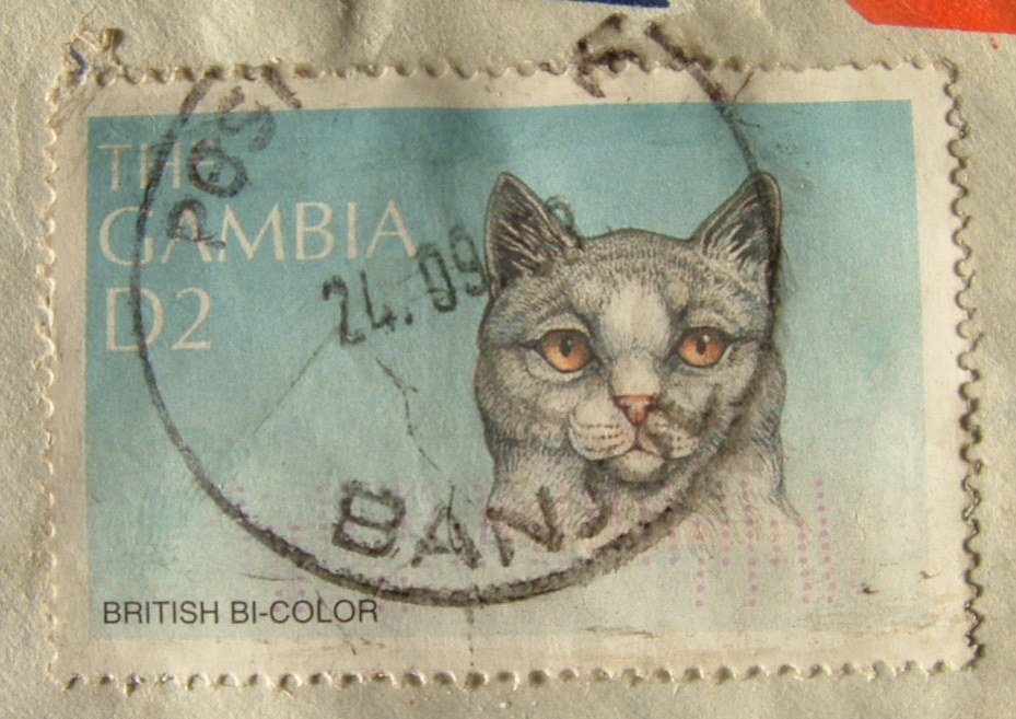 Gambia 1998 Cover To Germany - Education - British Bi-color Cat - Gambia (1965-...)