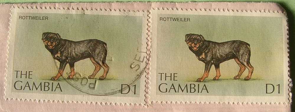 Gambia 2000 Cover To England UK -  Rottweiler Dog - Gambia (1965-...)