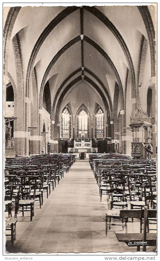 CP Bapaume Intérieur  Eglise 62 Pas De Calais - Bapaume