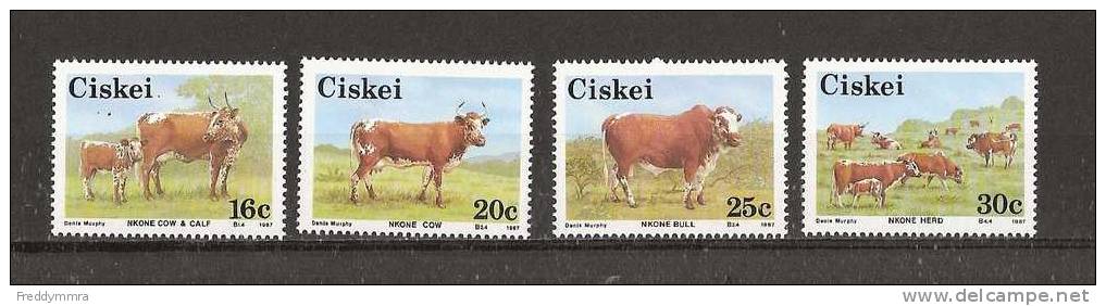 Ciskei: 115/ 118 **  Vaches - Vaches