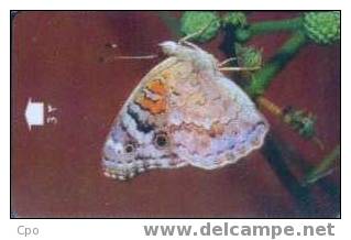 # OMAN A6 Butterfly - Blue Pansy (white) 3 Gpt  -papillon,butterfly-  Tres Bon Etat - Oman