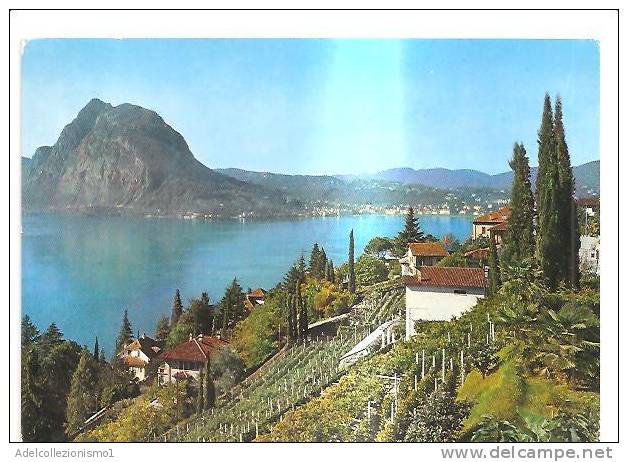 50441)cartolina Illustratoria Castagnola -  Panorama  Via Generale - Agno